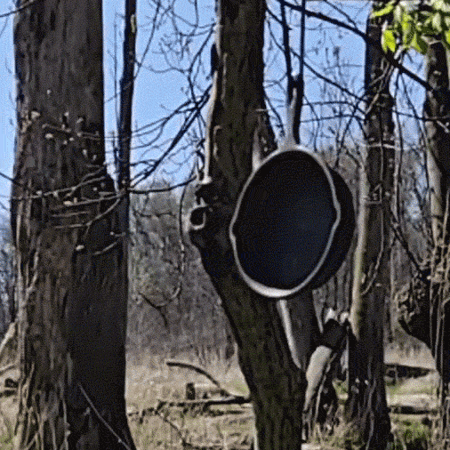 Mini Frying Pan Target