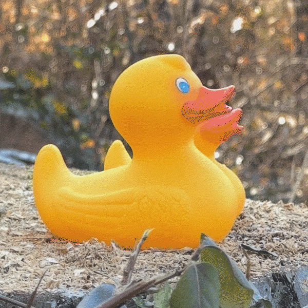 Quack Attack Targets