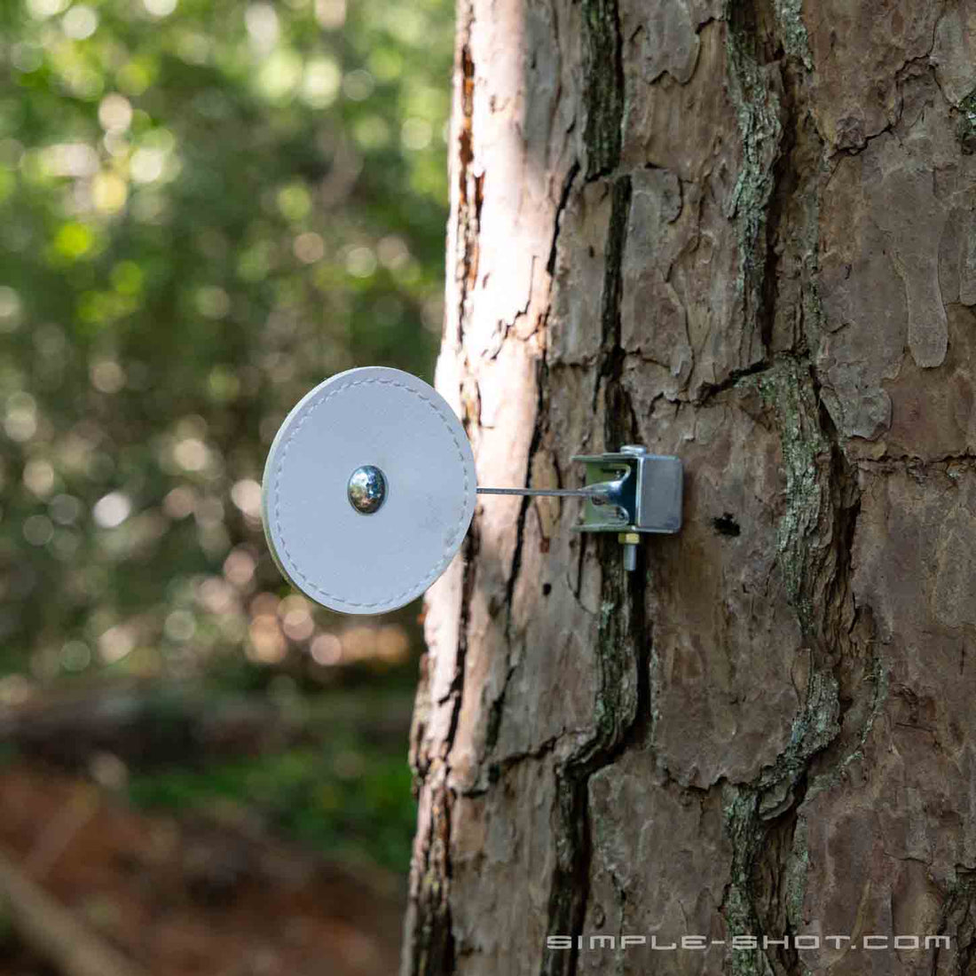 Self-Resetting Knockdown Target